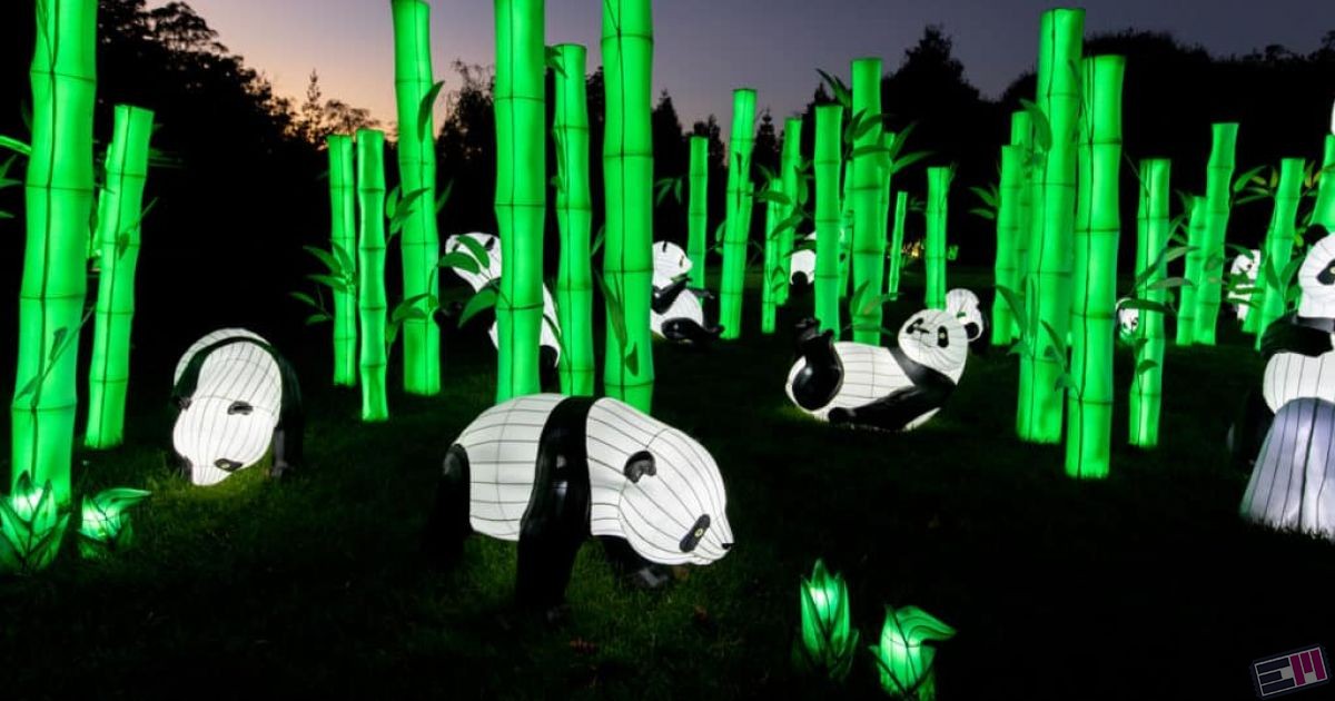 Glowfari A Wildly Illuminating Lantern Festival